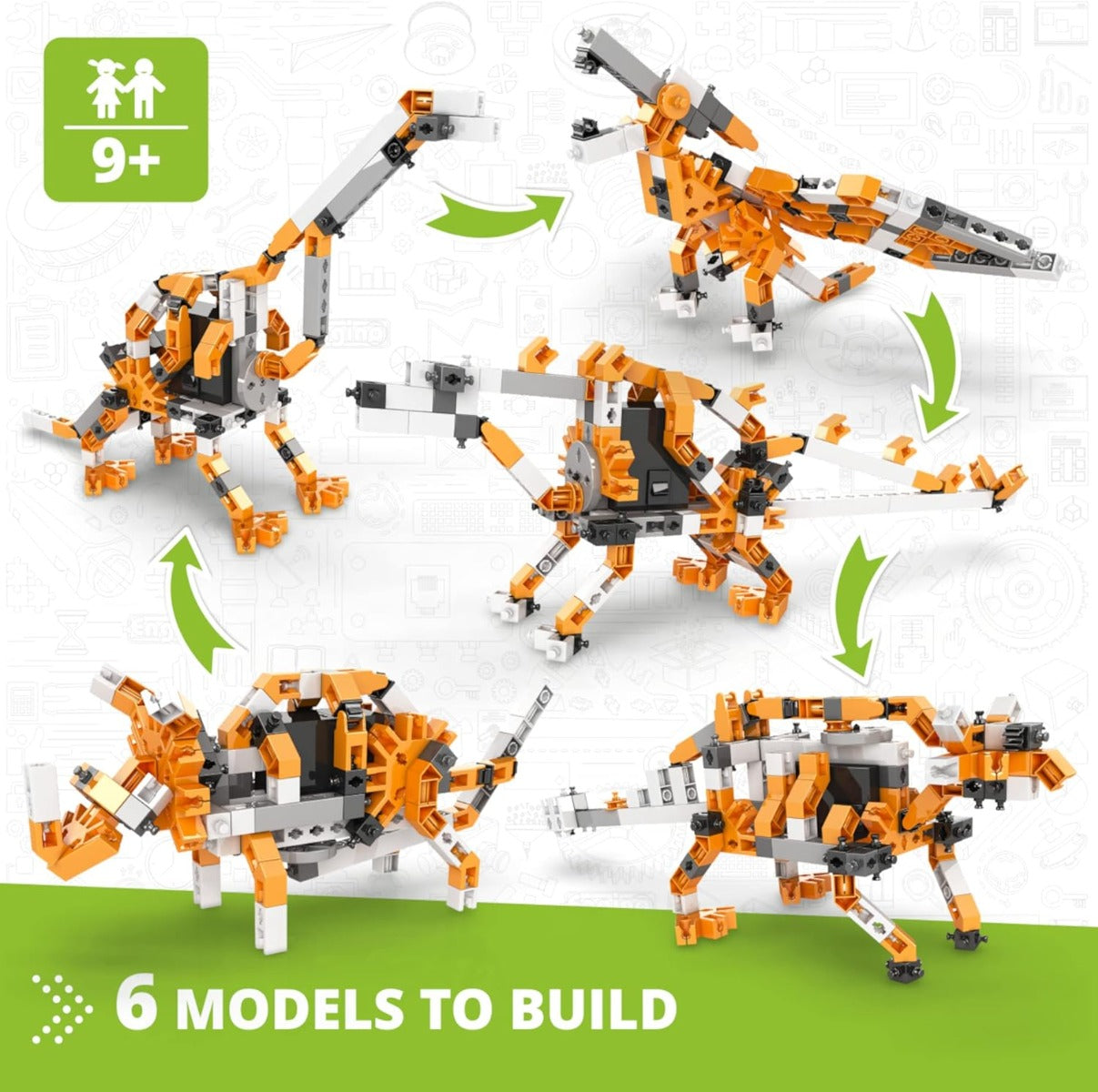 Buy Engino Discovery Stem Paleontology | Yallatoys.com
