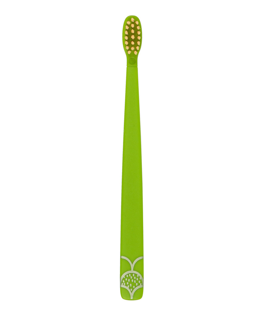 Flipper 2 Piece Twigo Toothbrush for Kids Green and Yellow Flipper Yallatoys