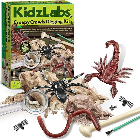 Buy 4M Kidzlabs Creepy Crawly Digging Kit | Yallatoys.com