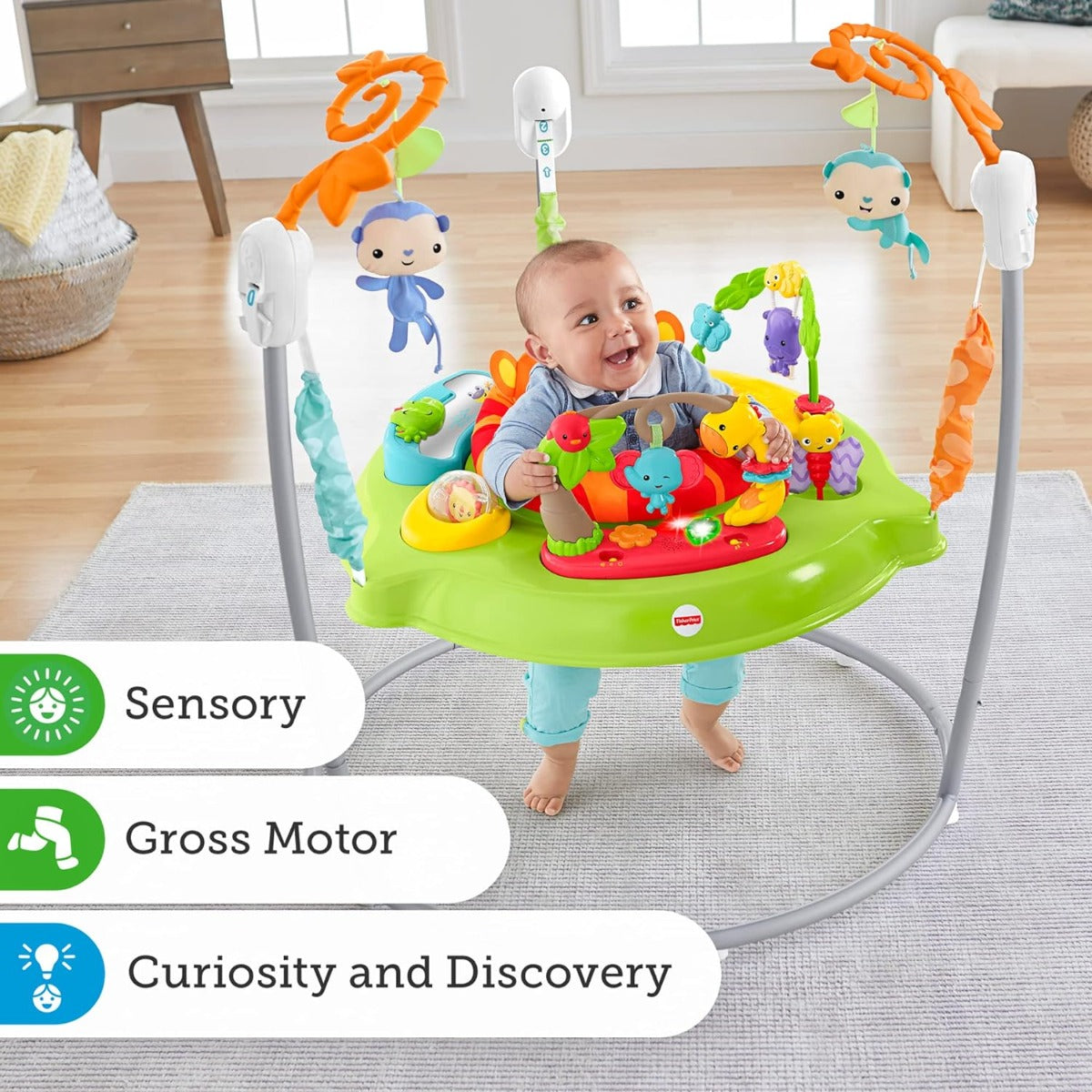Fisher Price Jumperoo Baby Bouncer and Activity Center