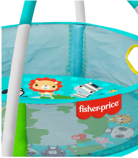 Buy Fisher Price Baby Ball Pit With 25 Balls | Yallatoys.com