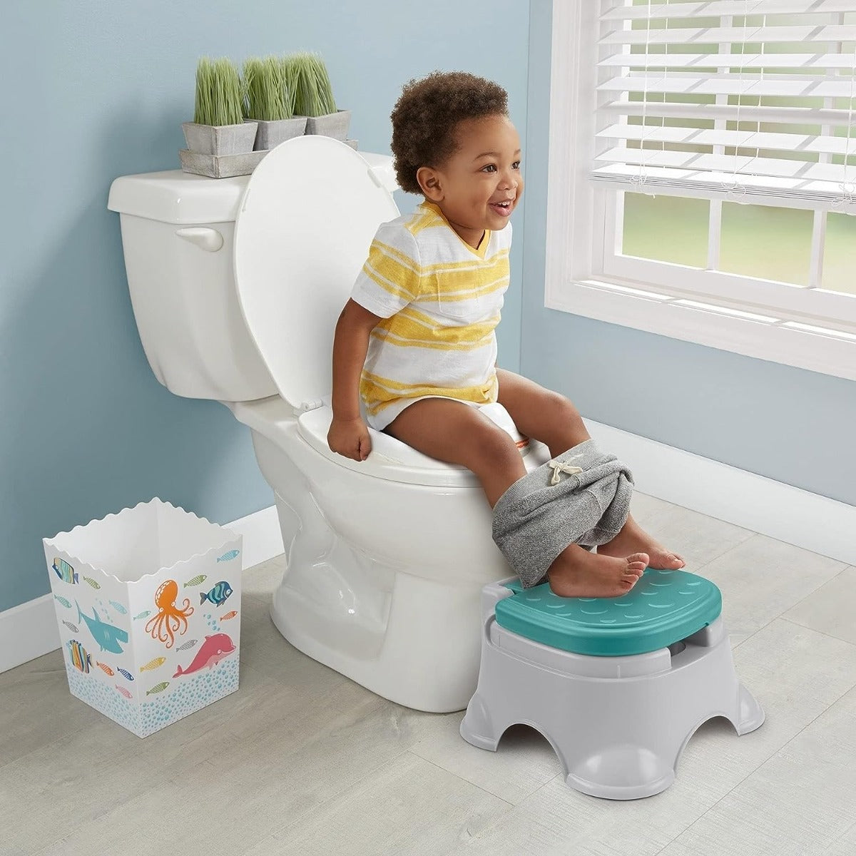 Buy Fisher Price 3 In 1 Basic Potty | Yallatoys.com