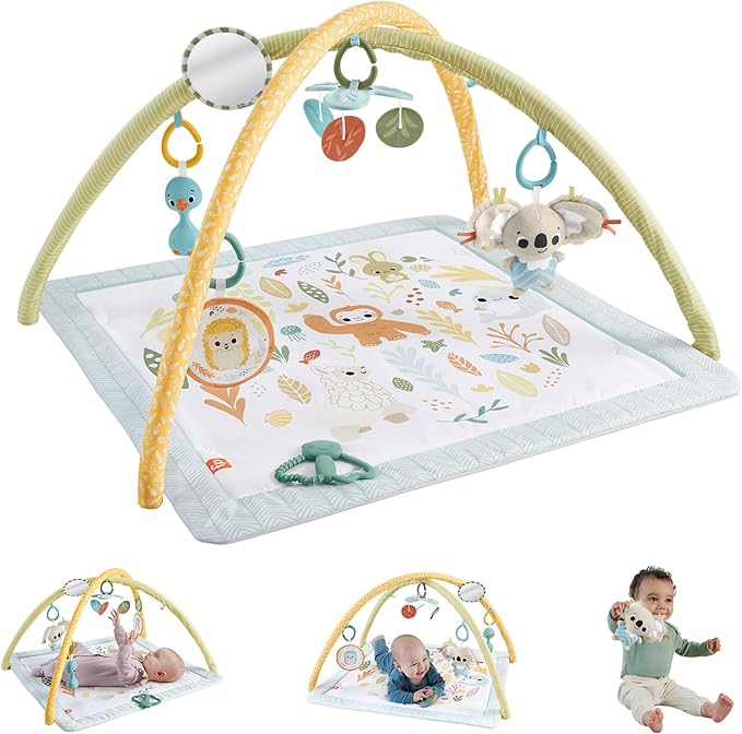 Buy Fisher Price Baby Playmat Simply Senses Newborn Gym | Yallatoys.com
