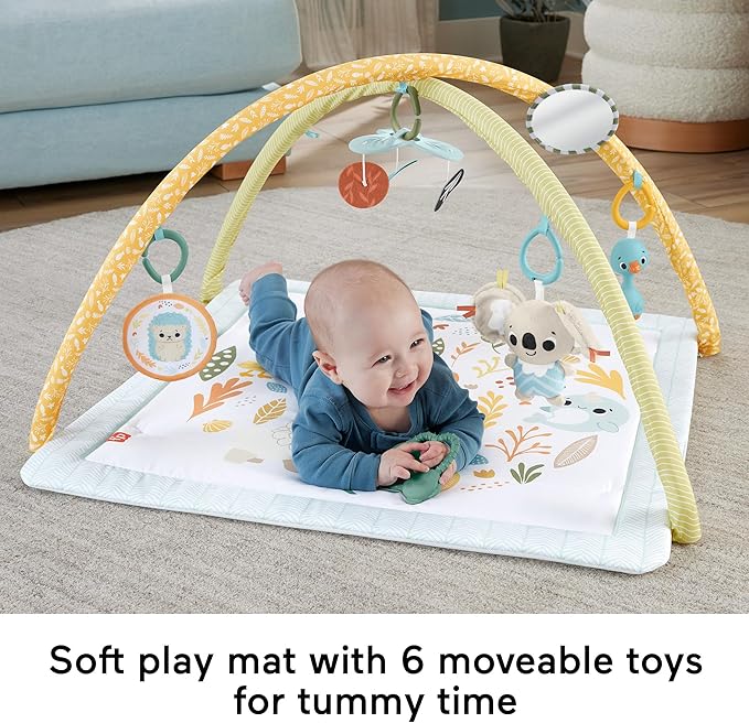 Buy Fisher Price Baby Playmat Simply Senses Newborn Gym | Yallatoys.com