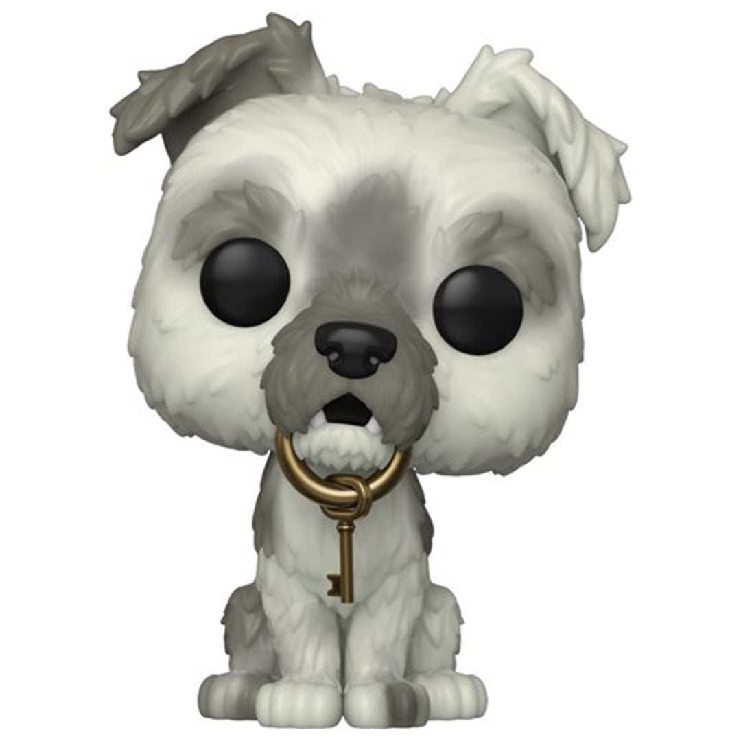 Buy Funko Pop Disney Pirates of the Carribean Dog with Keys | Yallatoys.com
