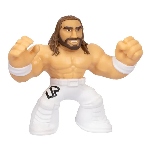 Buy Goo Jit Zu Wwe S2 Hero Figure Superstar Seth Freakin Rollins 11.4 Cm | Yallatoys.com