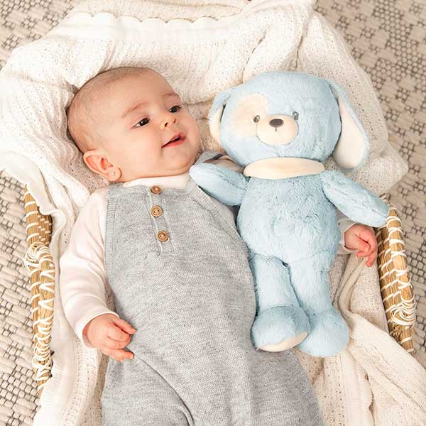 Buy Gund Eco Baby Puppy 13inch Plush | Yallatoys.com