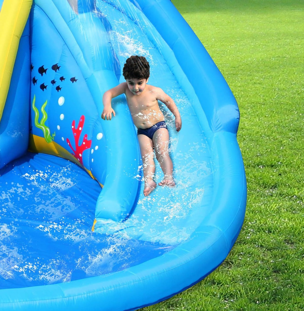 Buy Happy Hop The Shark Pool Waterpark | Yallatoys.com