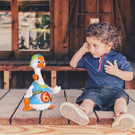 Buy Hola Swing Goose | Yallatoys.com