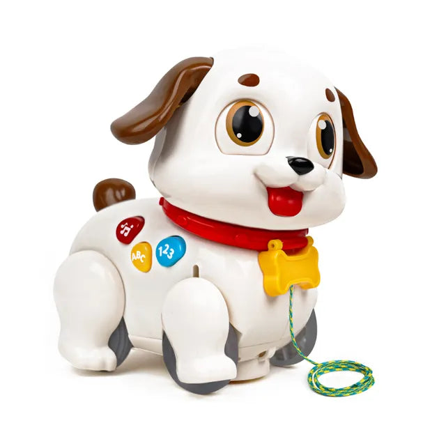 Buy Hola Crawl And Pull Along Learning Puppy Multicolor | Yallatoys.com