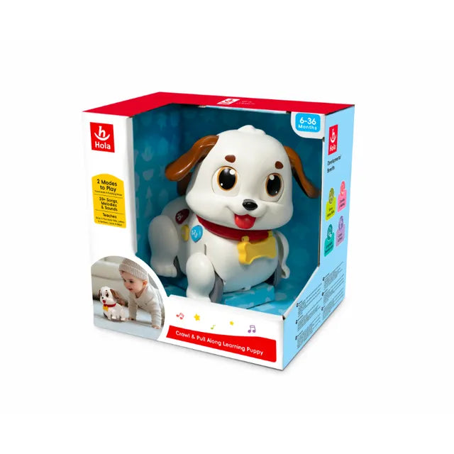 Buy Hola Crawl And Pull Along Learning Puppy Multicolor | Yallatoys.com