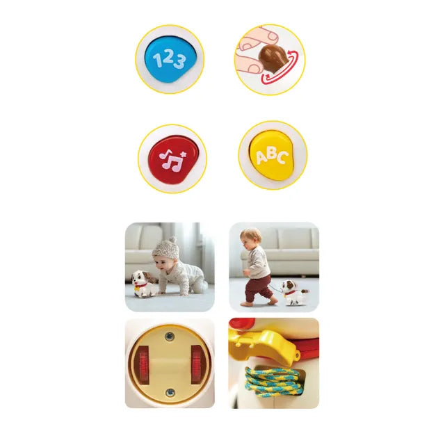 Buy Hola Crawl And Pull Along Learning Puppy Multicolor | Yallatoys.com