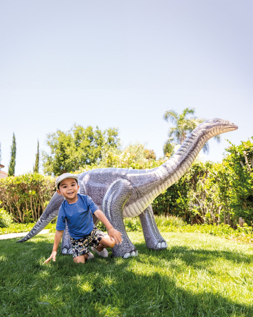 Buy Jurassic Dino Pals Brontosaurus and Triceratops (Sold Separately Subject to availability) | Yallatoys.com