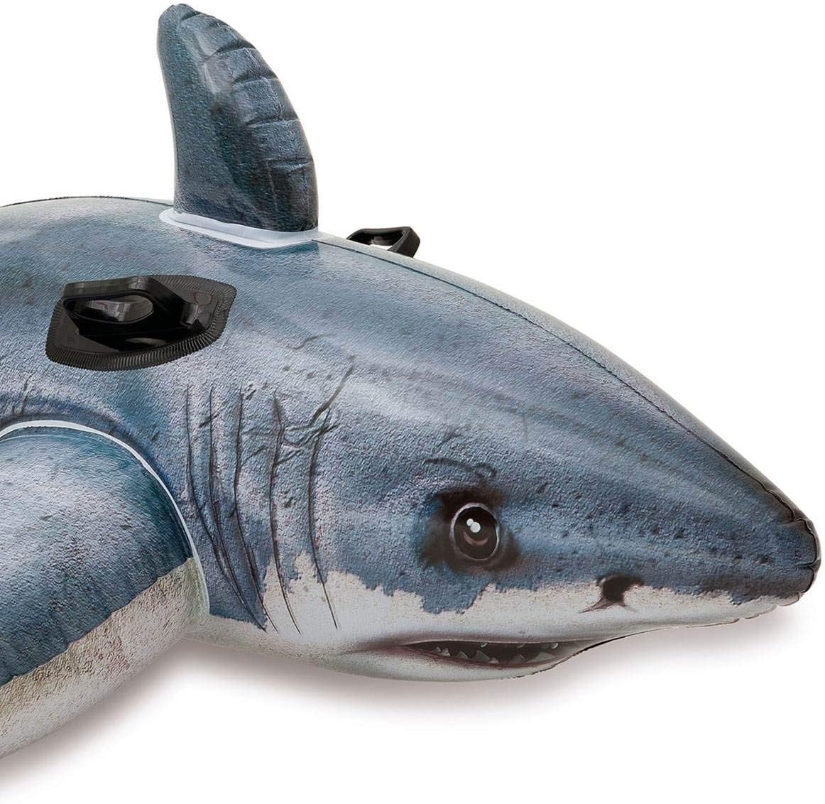 Buy Intex Great White Shark Inflatable Ride-on | Yallatoys.com