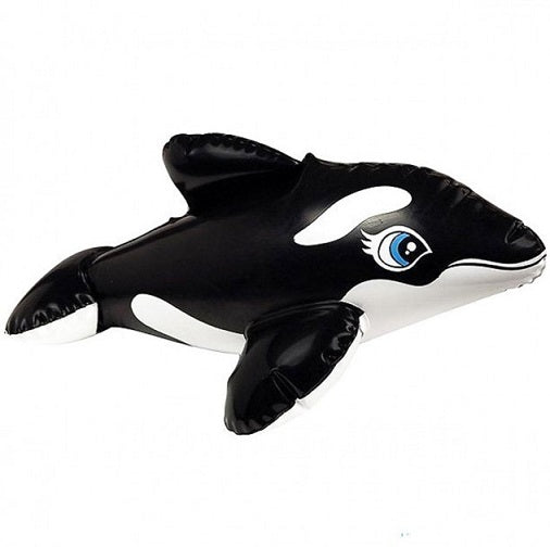 Buy Intex Puff n Play Water Toy Whale | Yallatoys.com
