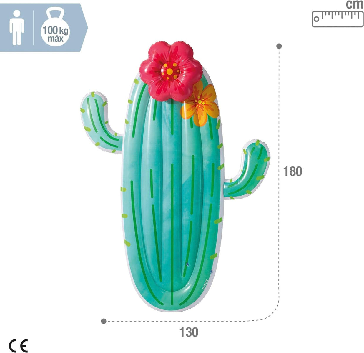 Buy Intex Cactus Float | Yallatoys.com