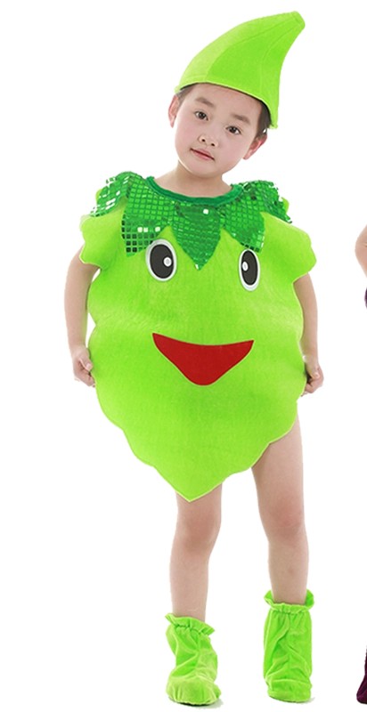 Buy Green Grape Costume | Yallatoys.com