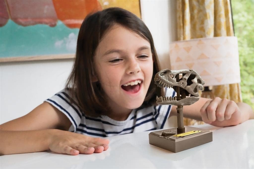 kids dinosaur skull digging kit