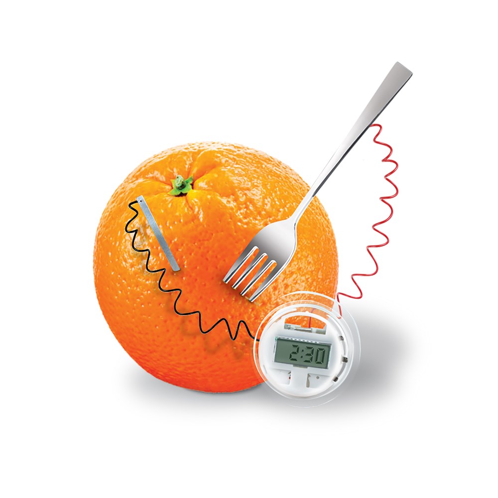 kids experiment kit