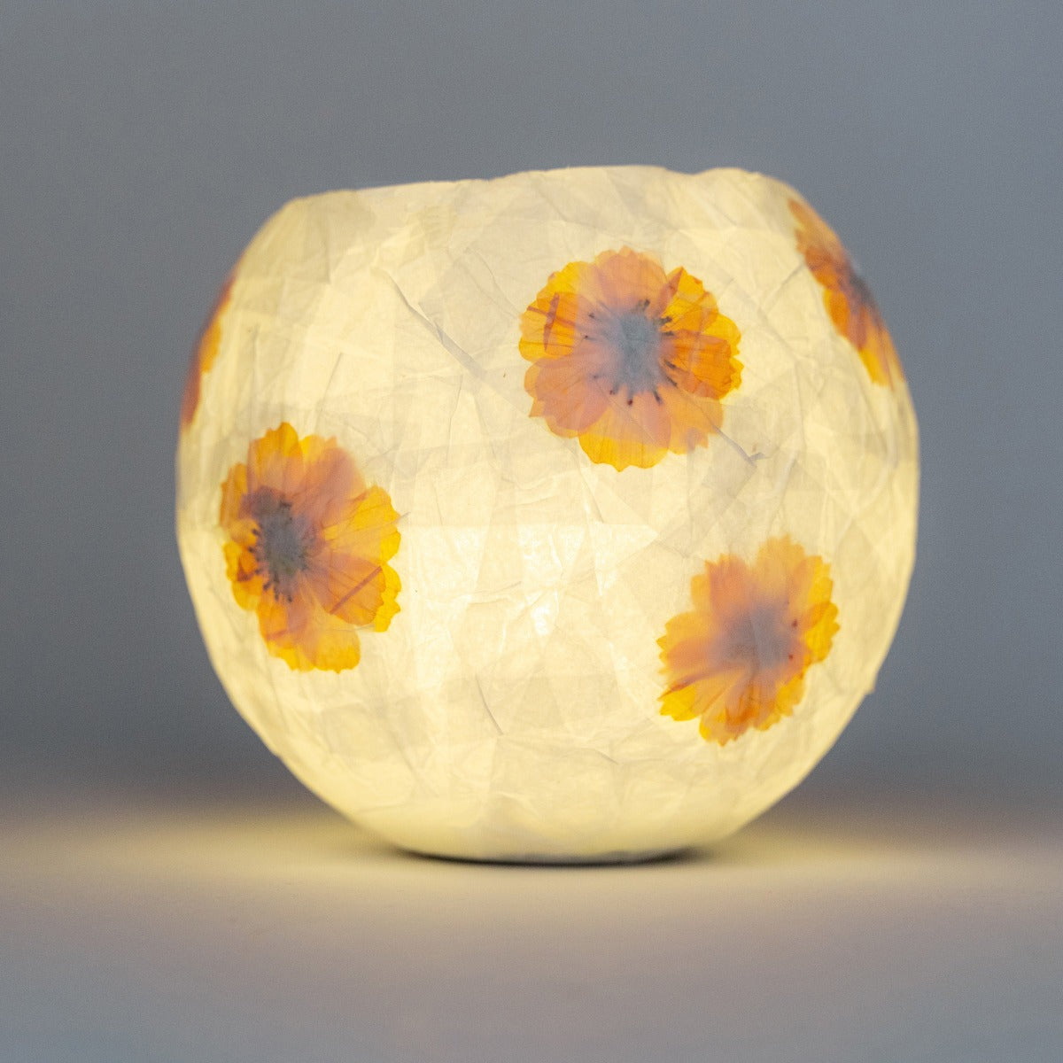 Buy Kikkerland Crafters Paper Lamp | Yallatoys.com