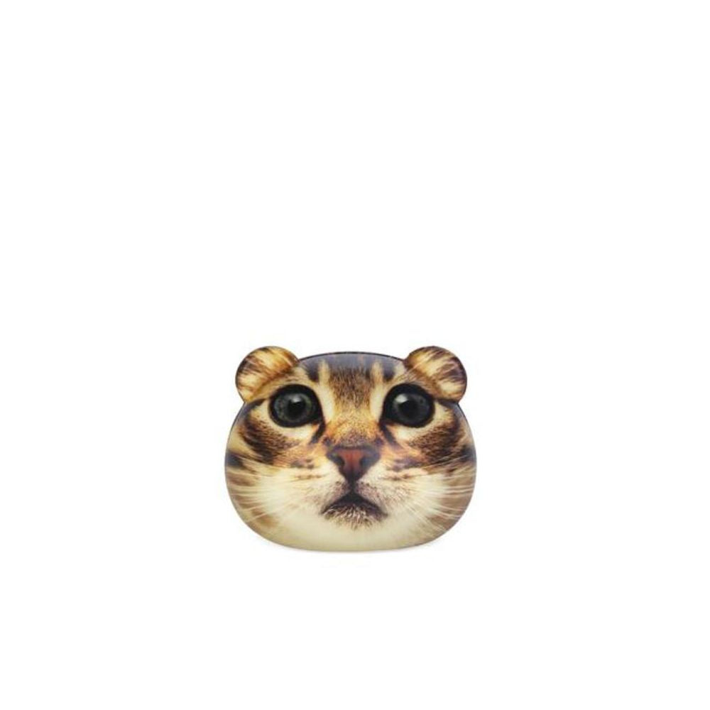 Buy Kikkerland Feline Fine Stress Balls (Sold Separately Subjected to Availability) | Yallatoys.com