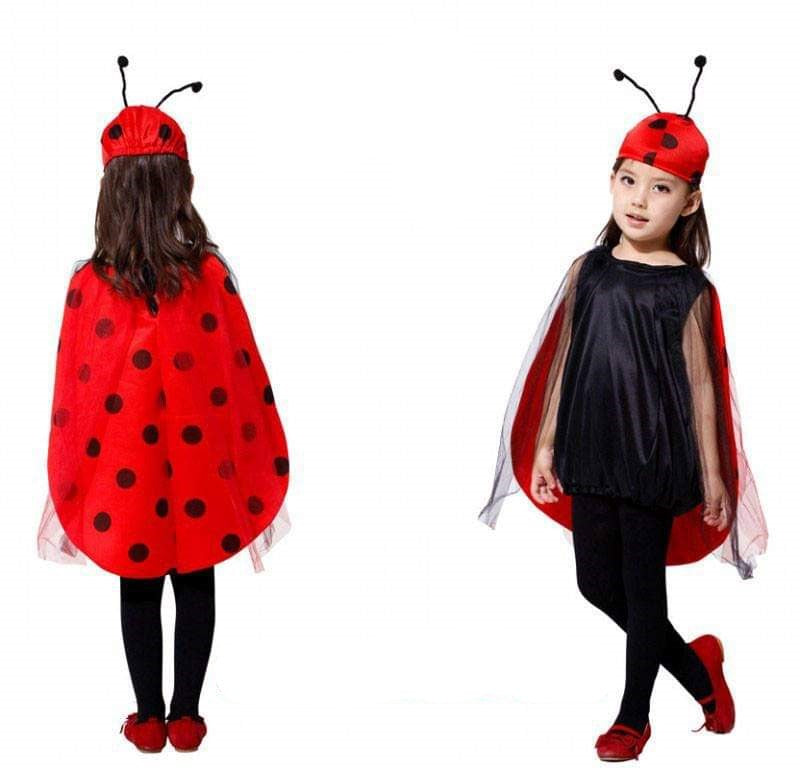Buy Lady Bug Girl Kids Costume | Yallatoys.com