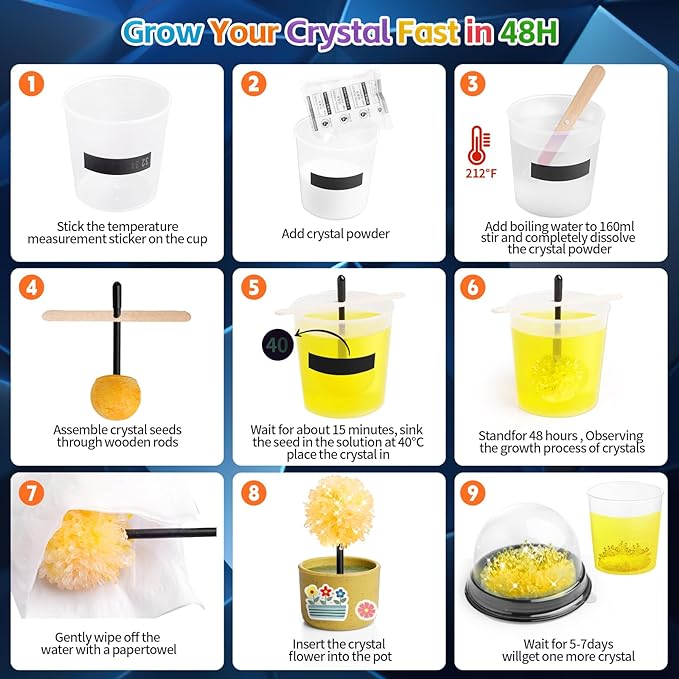 Buy Kidewan Grow A Garden Crystal Growing Science Kit Crystal Flower 6 IN 1 | Yallatoys.com