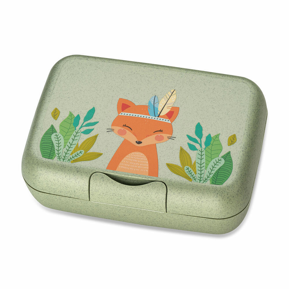 Buy Koziol Candy L Harry Lunch Box With Separation Bowl Green | Yallatoys.com