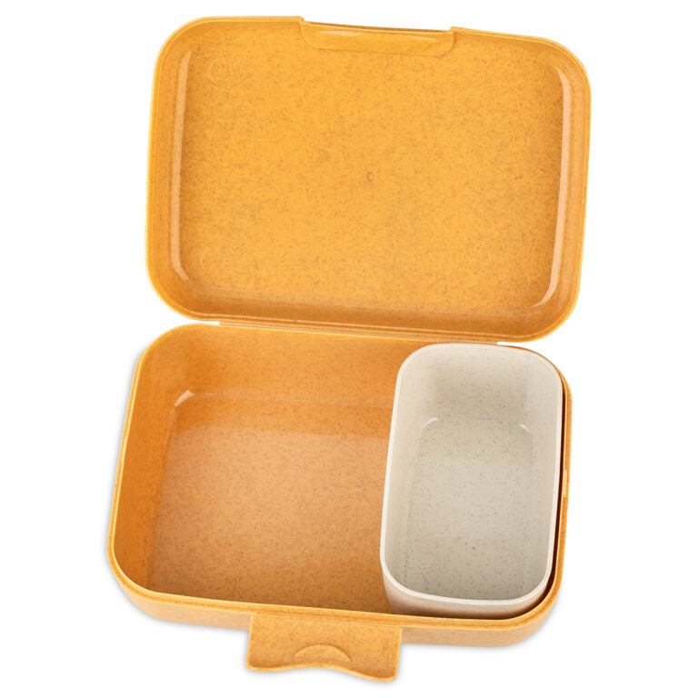 Buy Koziol Candy L Zoo Lunch Box With Separation Bowl Natural Wood | Yallatoys.com