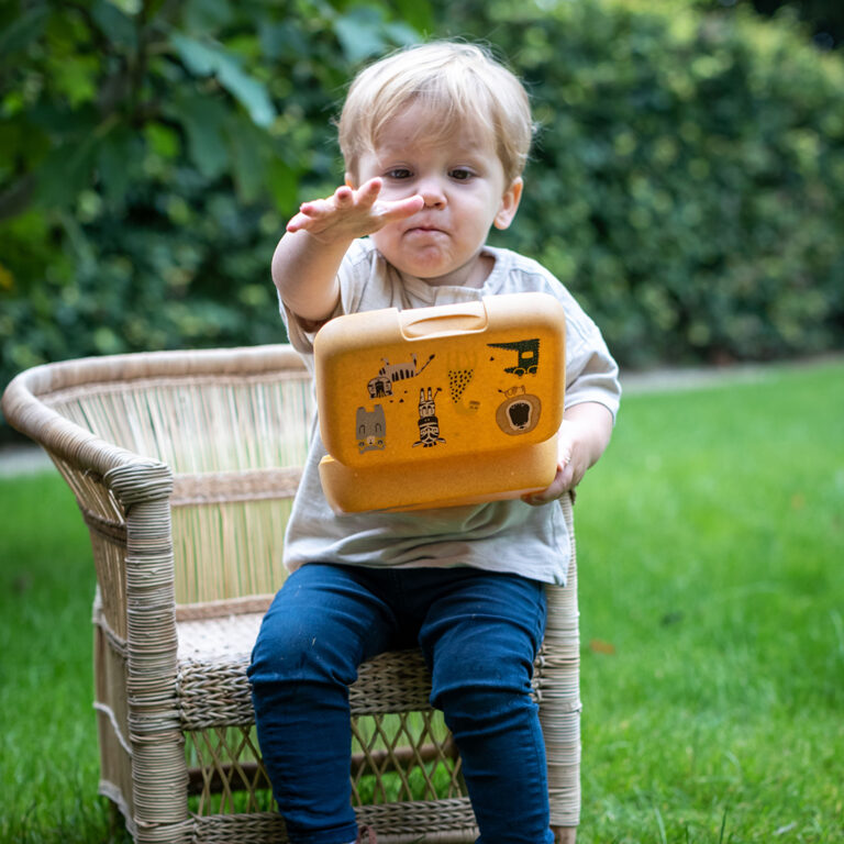 Buy Koziol Candy L Zoo Lunch Box With Separation Bowl Natural Wood | Yallatoys.com