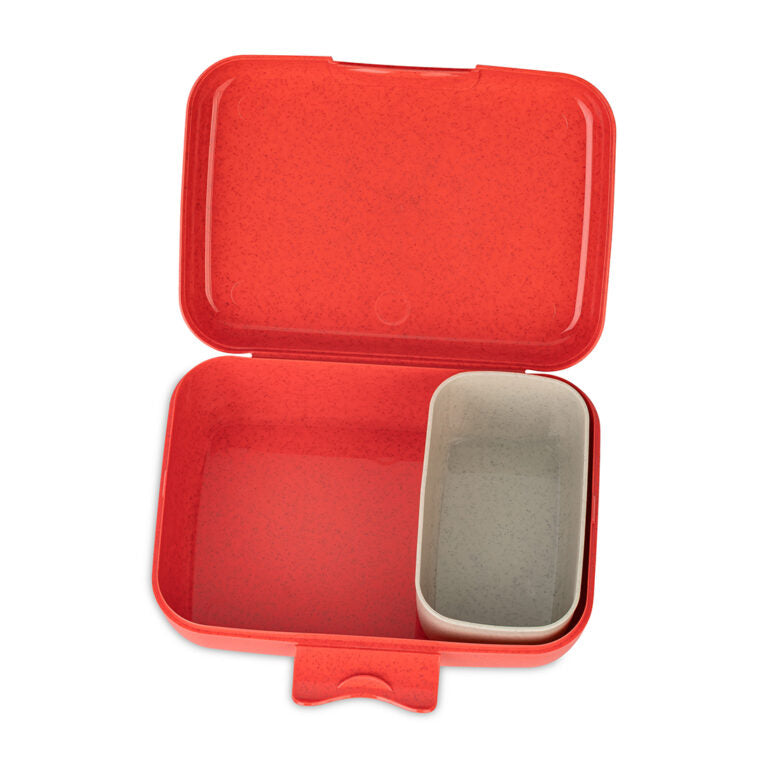 Buy Koziol Lunch Box Candy L Dreams With Divider Plastic Red | Yallatoys.com