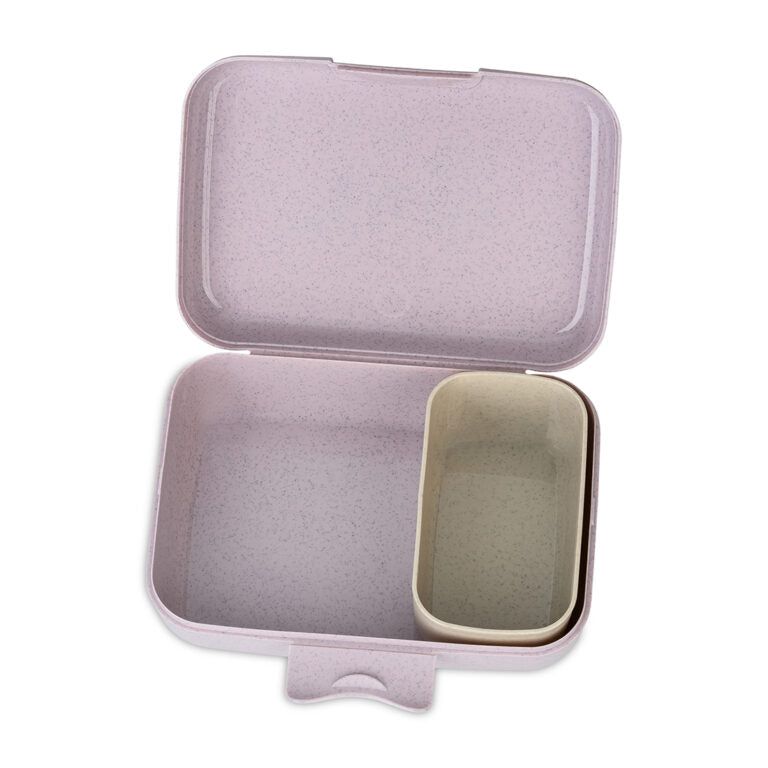 Buy Koziol Lunch Box Candy L Trucks With Separating Tray Plastic Grey | Yallatoys.com