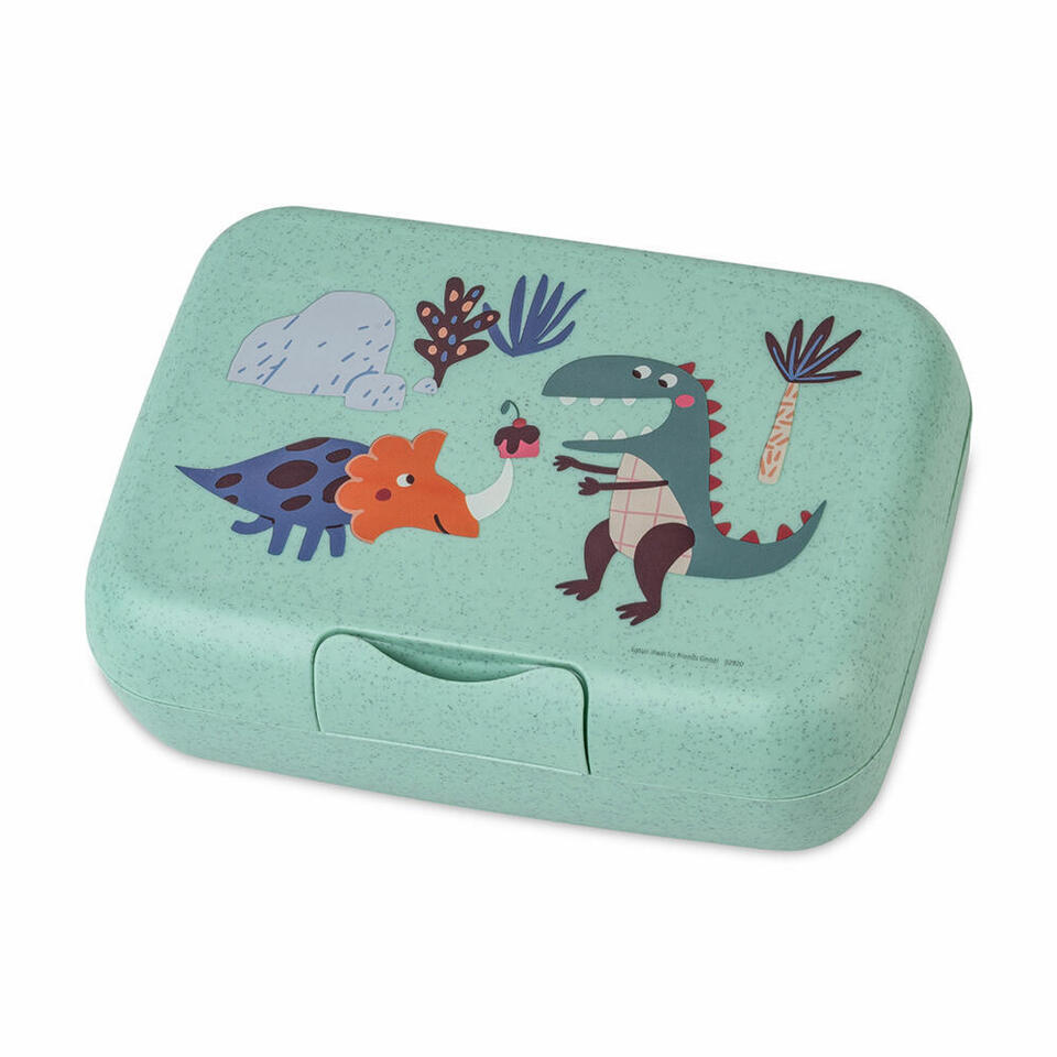 Buy Koziol Lunch Box Candy L Rex With Separating Tray Plastic Green | Yallatoys.com