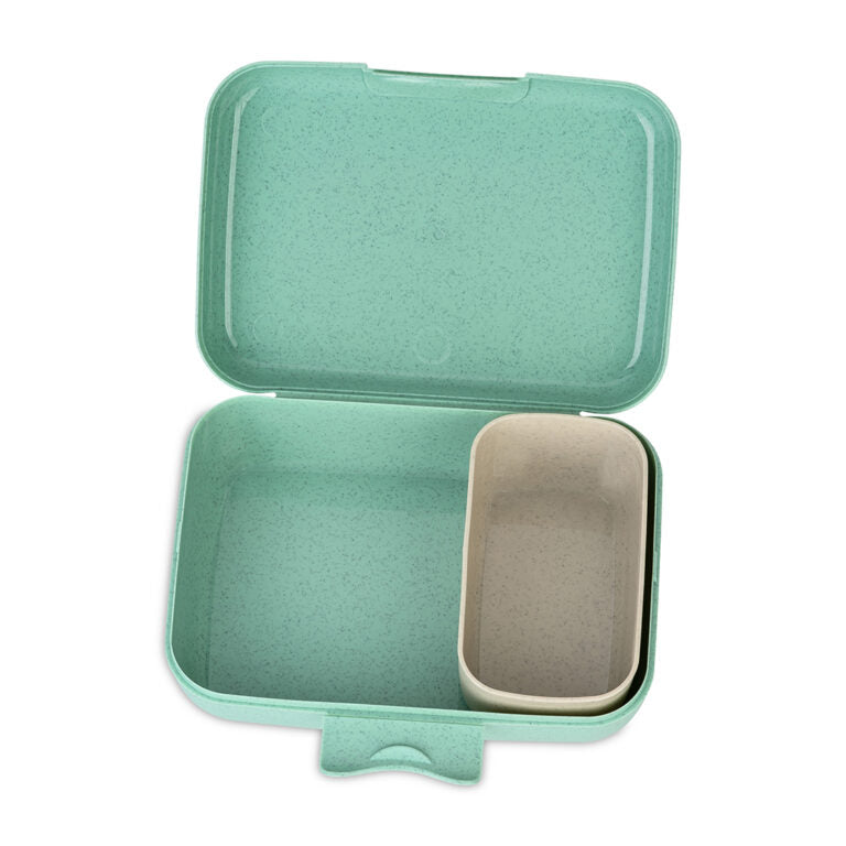 Buy Koziol Lunch Box Candy L Rex With Separating Tray Plastic Green | Yallatoys.com