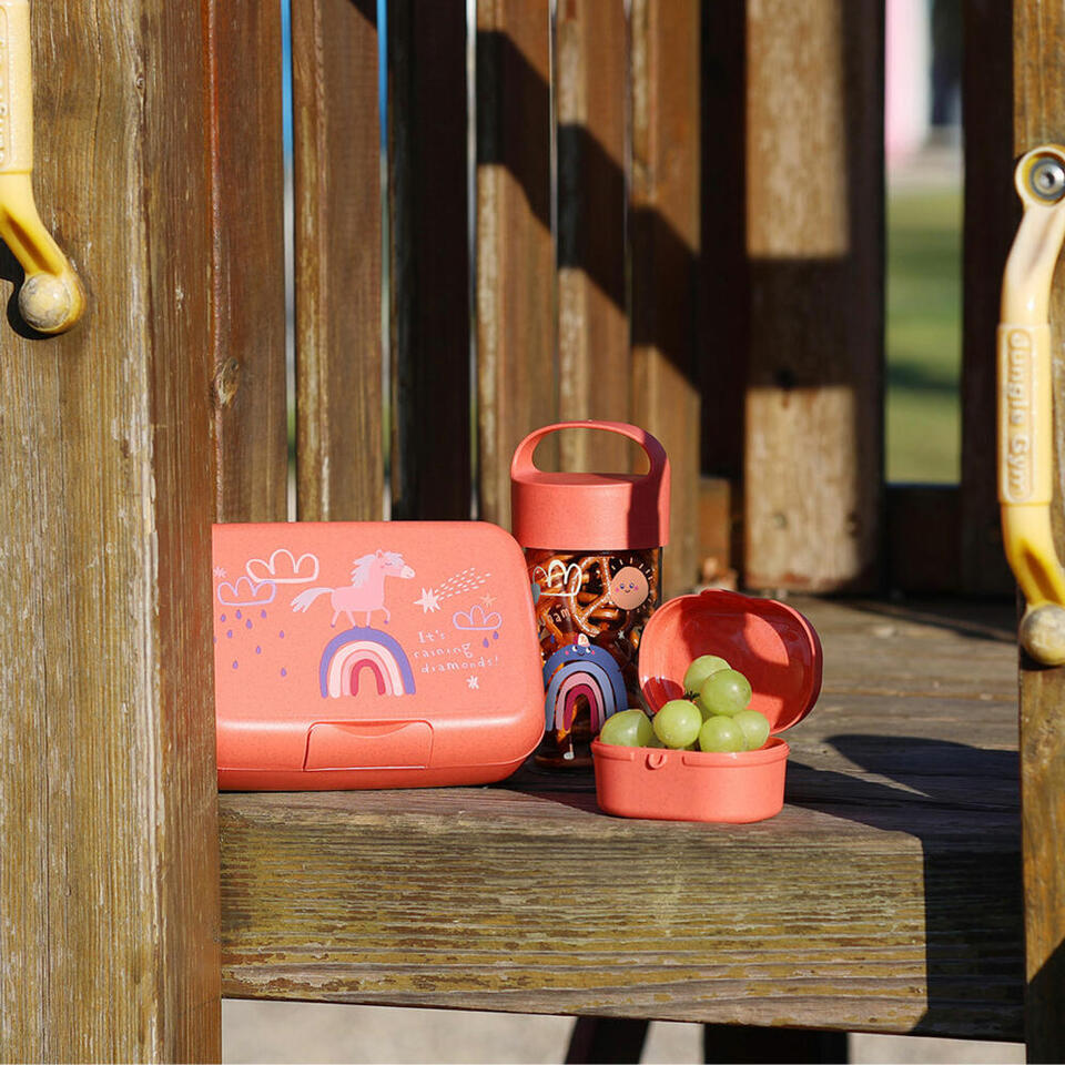 Buy Koziol Snack Box Pascal Mini Dreams Plastic Red | Yallatoys.com