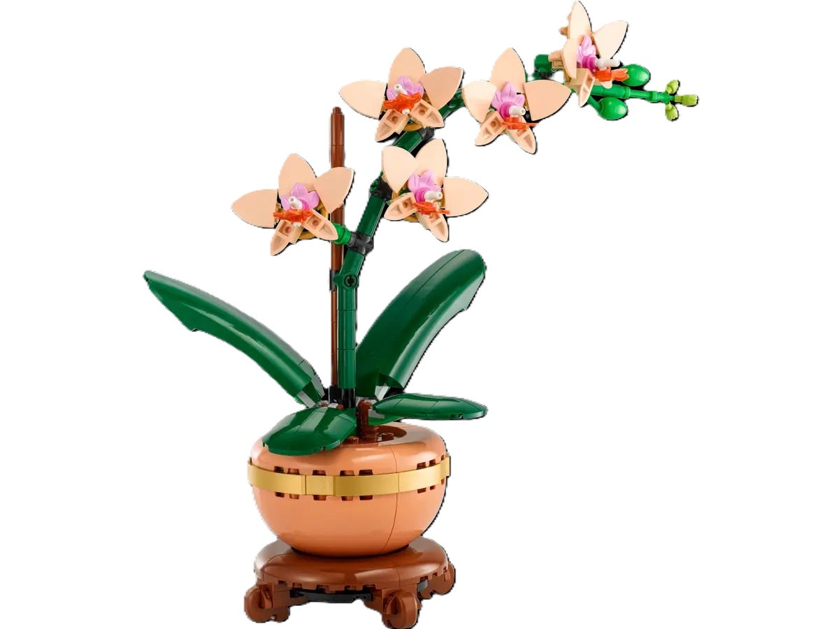 Buy Lego Mini Orchid Set 10343 With 274pcs | Yallatoys.com