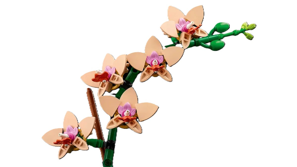 Buy Lego Mini Orchid Set 10343 With 274pcs | Yallatoys.com