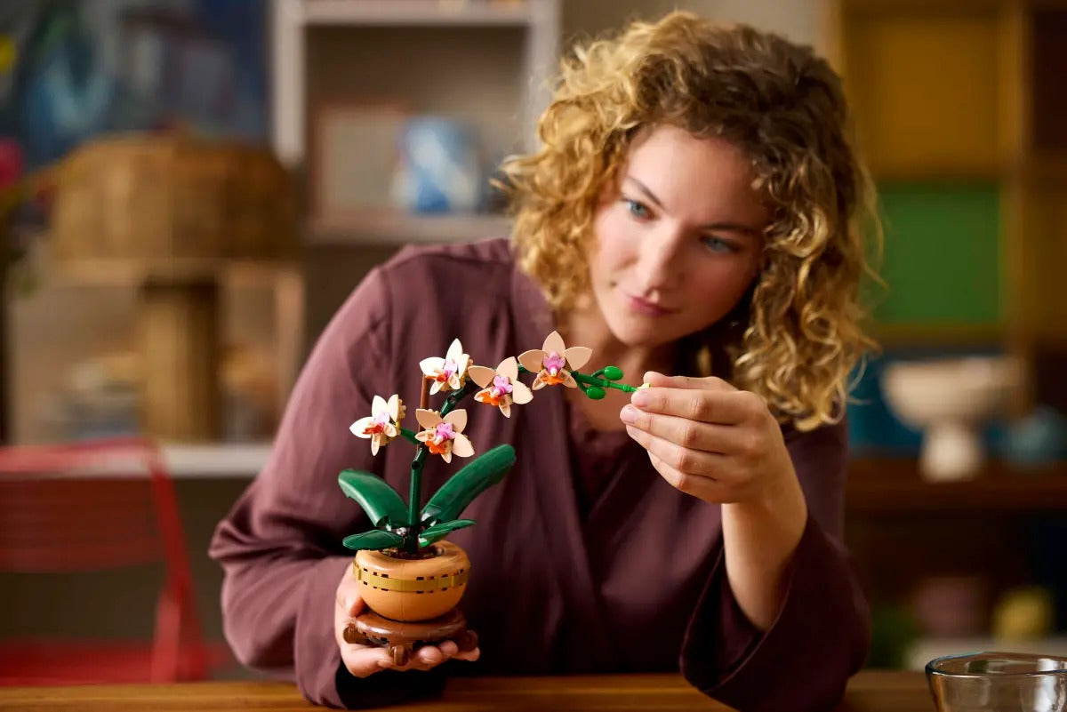 Buy Lego Mini Orchid Set 10343 With 274pcs | Yallatoys.com
