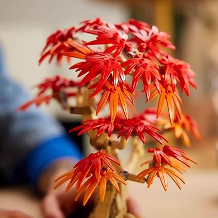 Buy Lego Botanicals Japanese Red Maple Bonsai Tree | Yallatoys.com