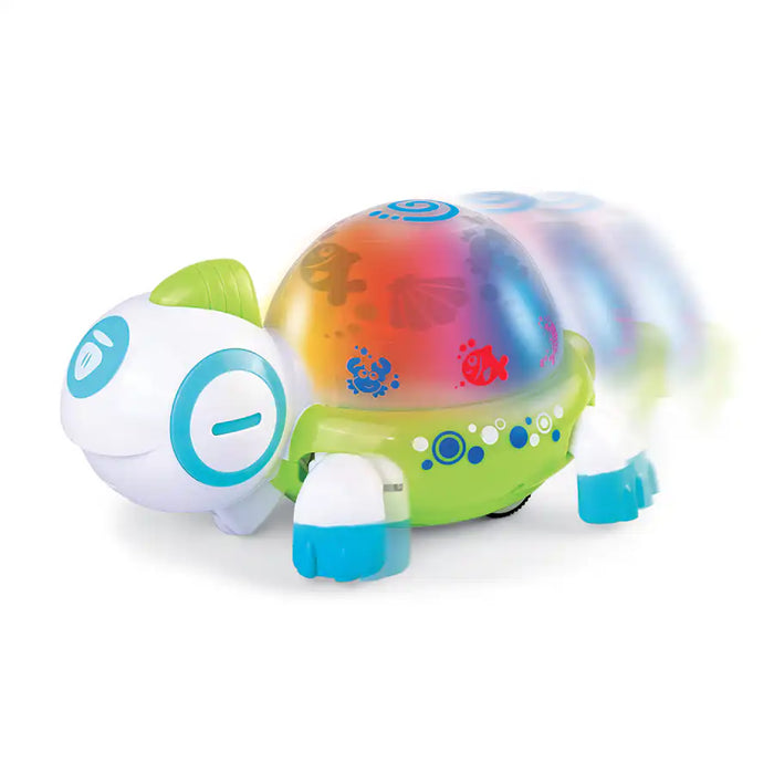 Buy Little Learner Walk N Glow Turtle | Yallatoys.com