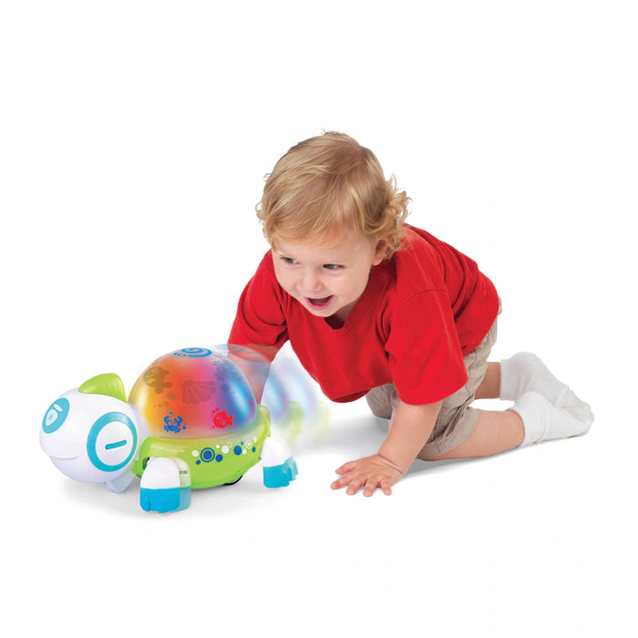 Buy Little Learner Walk N Glow Turtle | Yallatoys.com