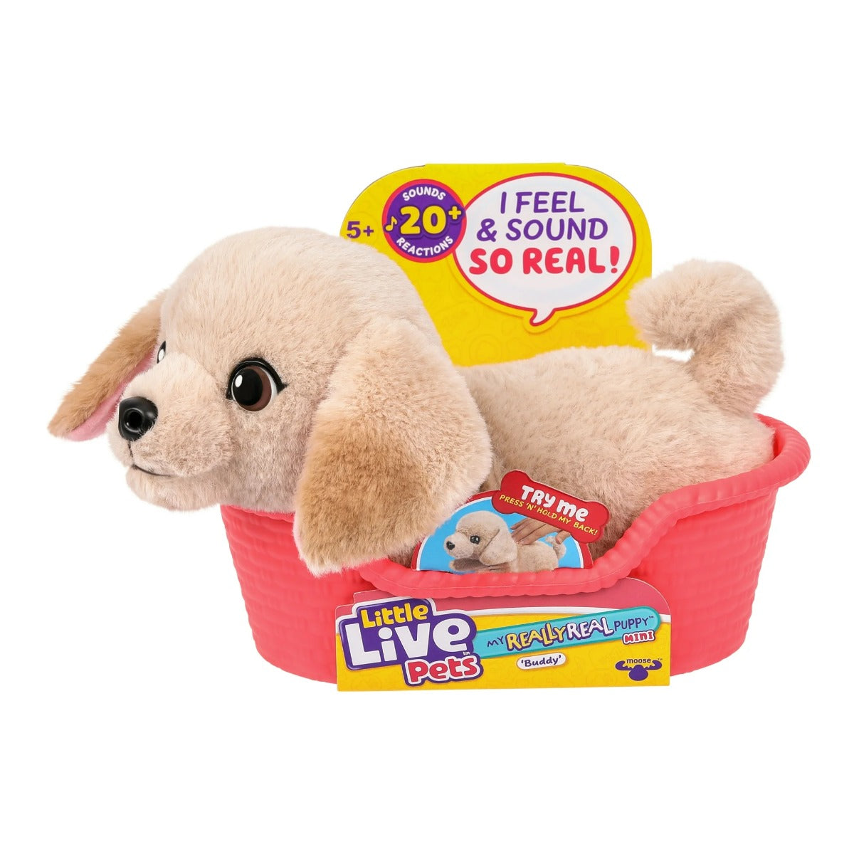 Buy Little Live Pets My Really Real Puppy Minis Buddy the Retriever | Yallatoys.com