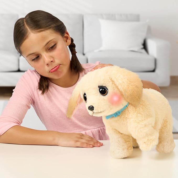 Buy Little Live Pets Ouchies Deluxe Electronic Puppy Playset Cooper | Yallatoys.com