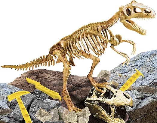 Buy I'm A Genius Super Kit T-Rex | Yallatoys.com