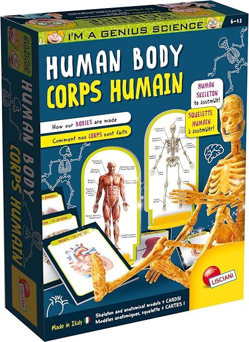 Buy I'm A Genius Human Anatomy Learning Kit with Illustrated Cards and Plastic Skeleton | Yallatoys.com