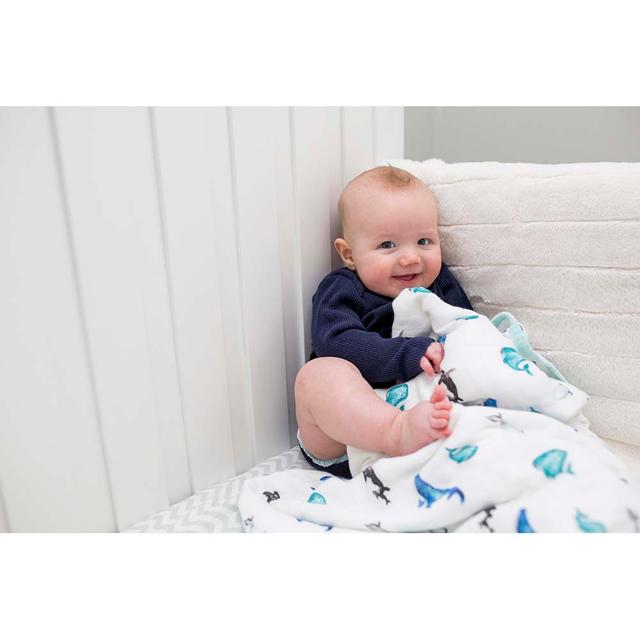 Lulujo Dream Blanket Whales Lulujo Yallatoys