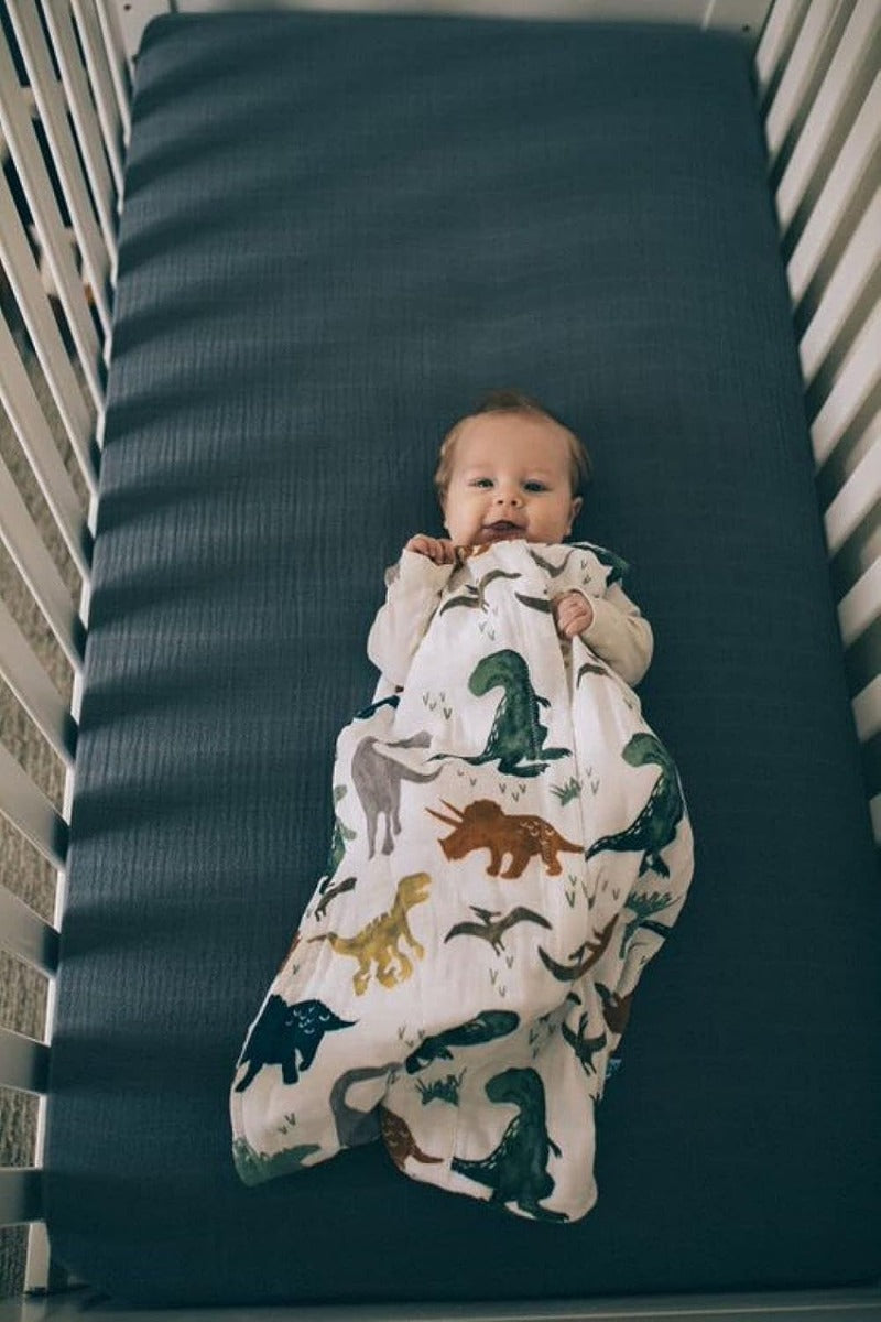 Little Unicorn Cotton Muslin Quilted Sleep Bag Medium Dino Friends Little Unicorn Yallatoys