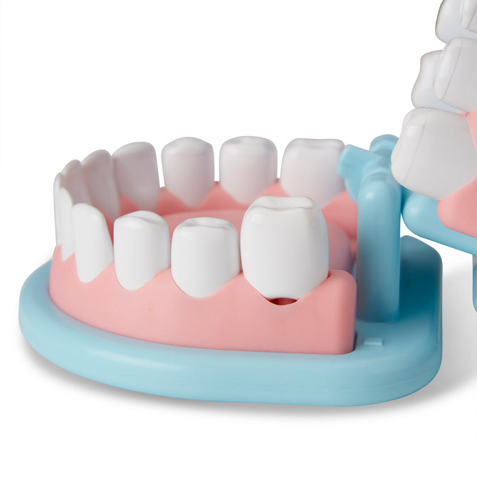 Buy Melissa & Doug Super Smile Dentist Play Set | Yallatoys.com