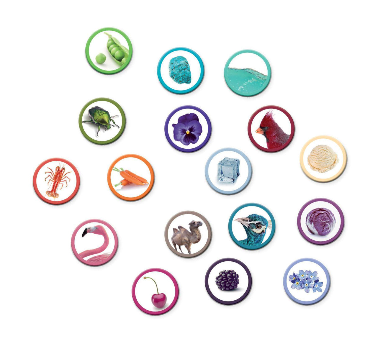 Buy Sherlock Colors The Game of Colors Game | Yallatoys.com