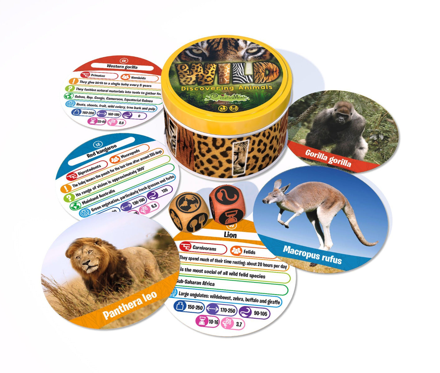 Buy Wild Discovering Animals Game | Yallatoys.com
